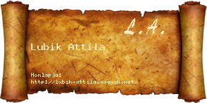 Lubik Attila névjegykártya